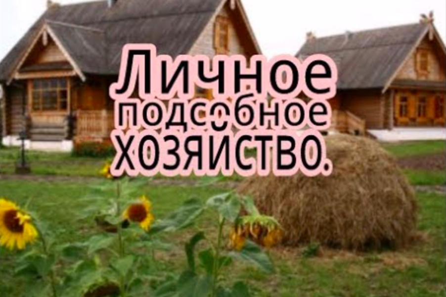 Извещение о возможности предоставления в аренду земельного участка для ведения личного подсобного хозяйства.