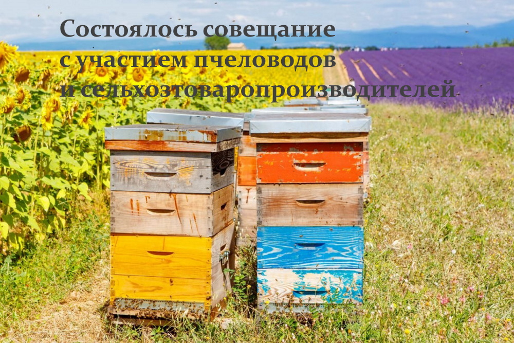 Совещание с участием пчеловодов и сельхозтоваропроизводителей района.