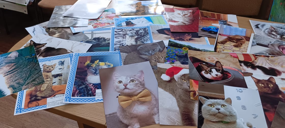 Победители в Районном  конкурсе творческих работ  «Кошки, котики, котята!».