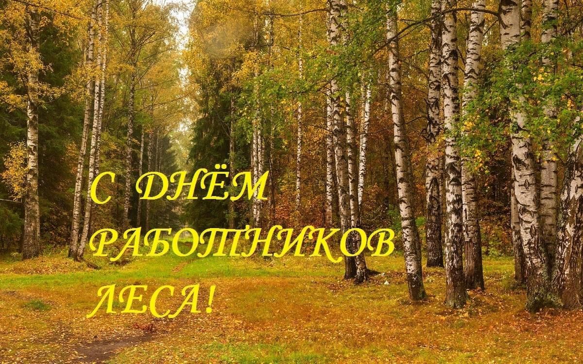 С Днем работников леса и лесоперерабатывающей промышленности!.