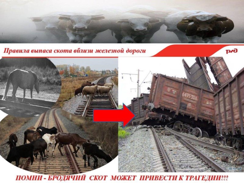 Железная дорога – зона повышенной опасности!.
