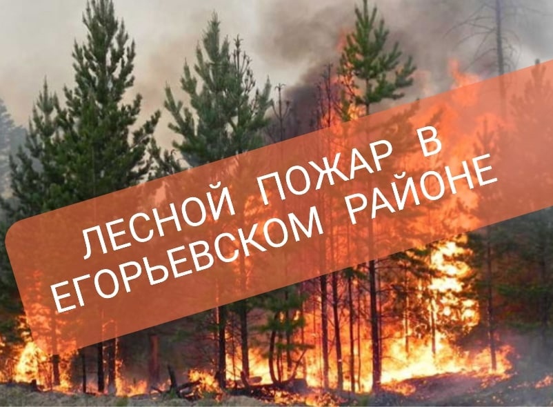 Лесной пожар в Егорьевском районе.