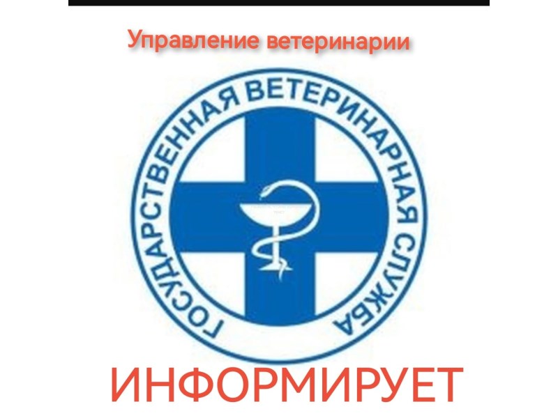 Бруцеллез.