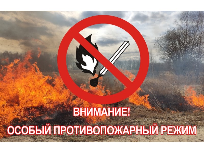 Вводится особый противопожарный режим..