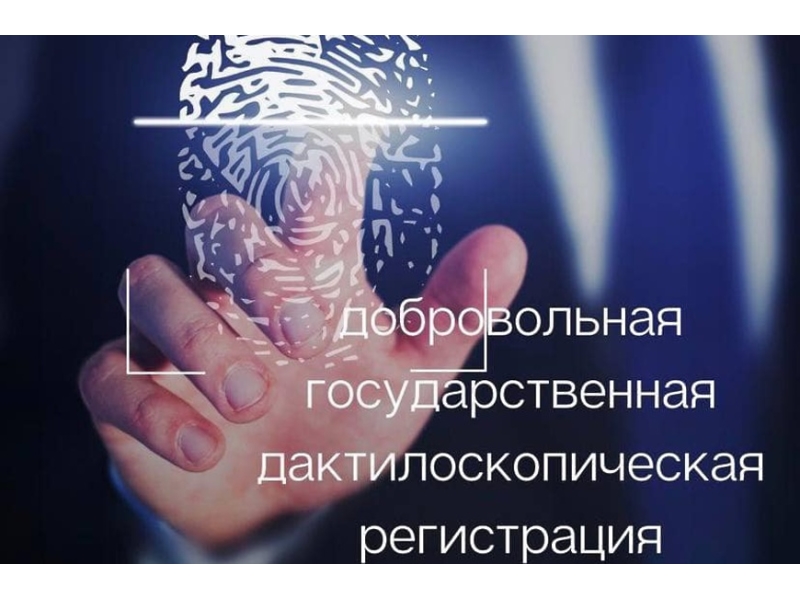 Порядок предоставления государственной услуги по проведению добровольной дактилоскопической регистрации.