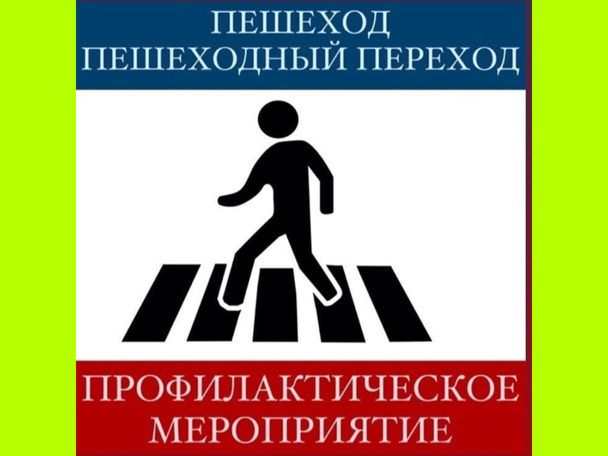 Профилактические мероприятия  отделения Госавтоинспекции….