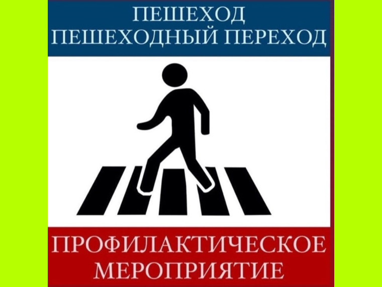 Профилактические мероприятия отделения Госавтоинспекции…. Профилактические мероприятия отделения Госавтоинспекции….
